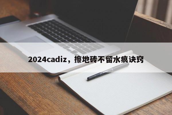 2024cadiz，擦地砖不留水痕诀窍