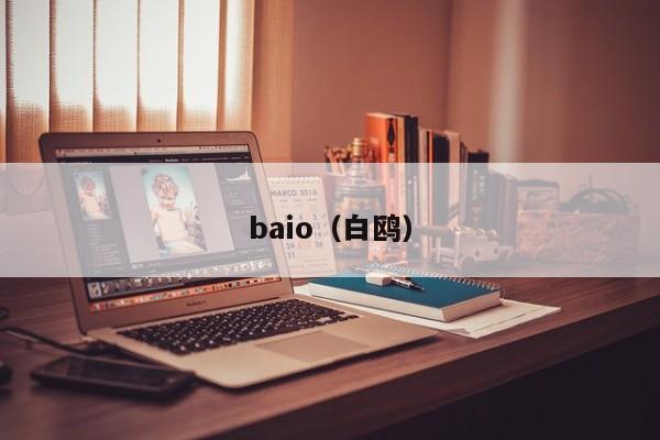 baio（白鸥）