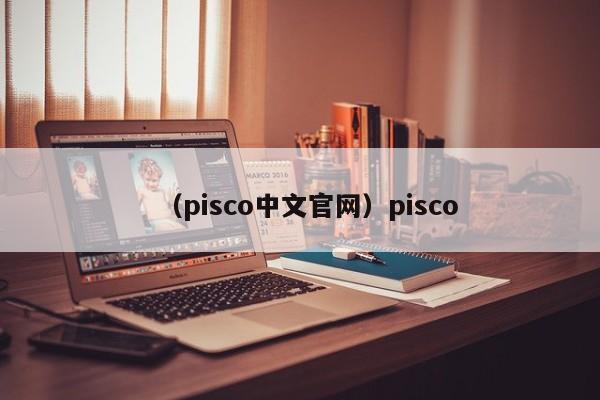 （pisco中文官网）pisco