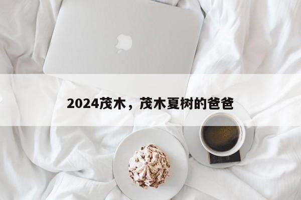 2024茂木，茂木夏树的爸爸