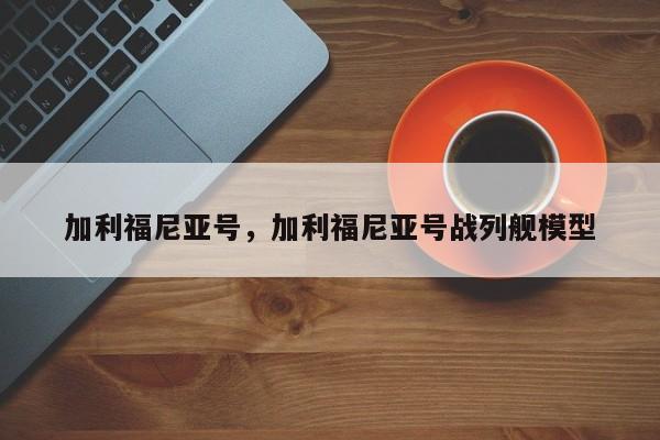 加利福尼亚号，加利福尼亚号战列舰模型