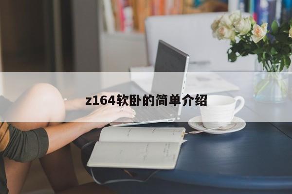 z164软卧的简单介绍