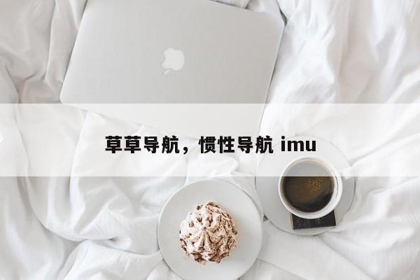 草草导航，惯性导航 imu