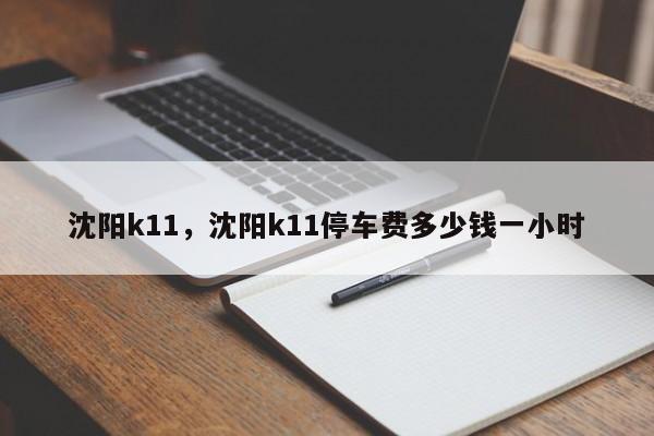 沈阳k11，沈阳k11停车费多少钱一小时